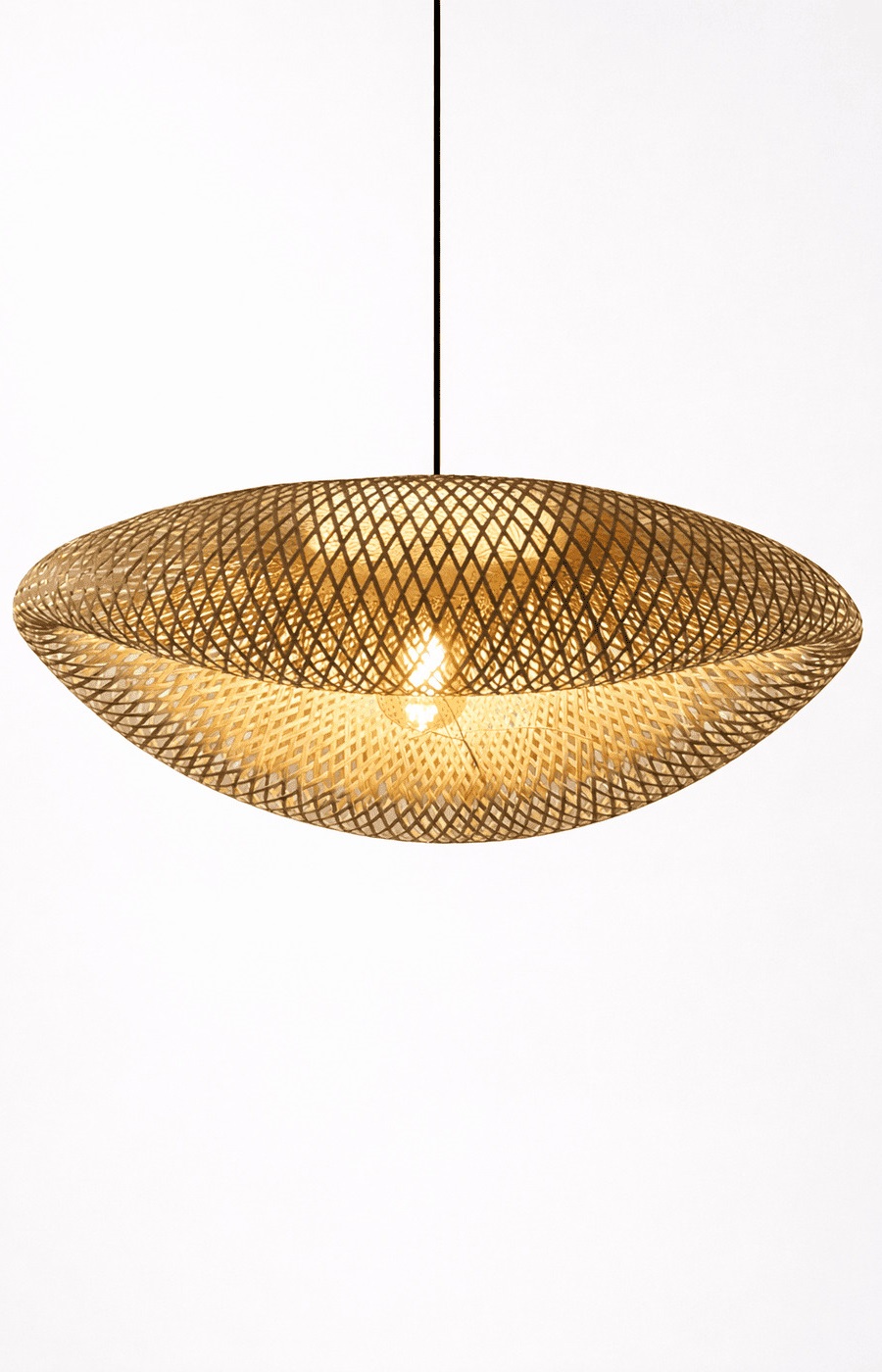 Dome Hanging Light - Image 2